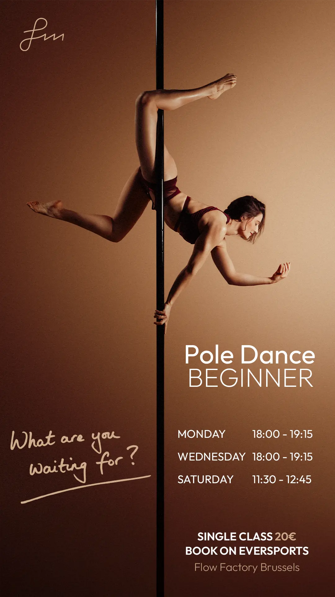 Pole Dance Beginner
