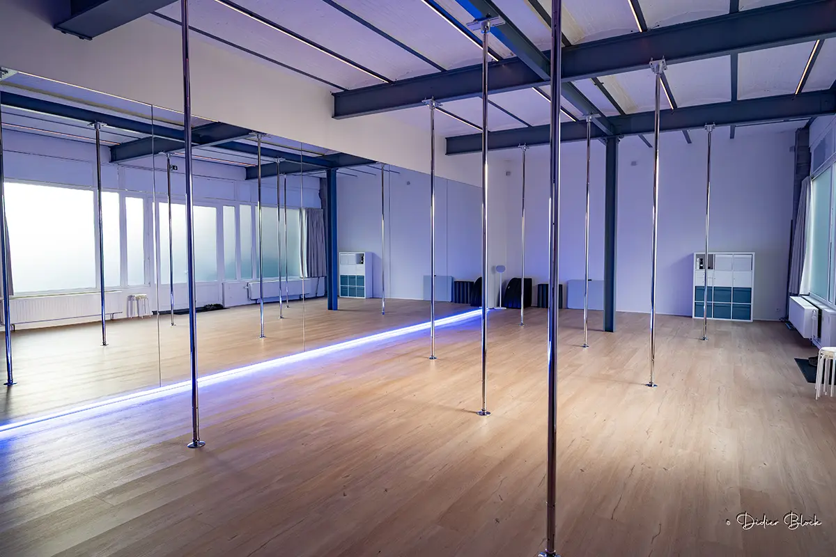 Flow Factory Brussels studio with poles, mirrors and wood-effect floor